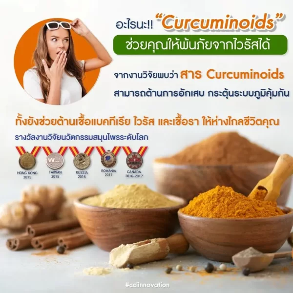 อาชิตองโกลด์ - Image 17