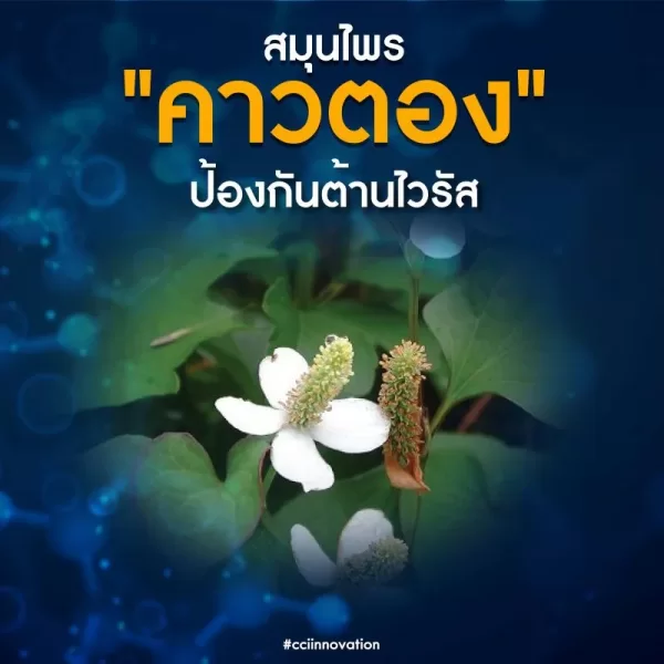 ARSHITHONG GOLD