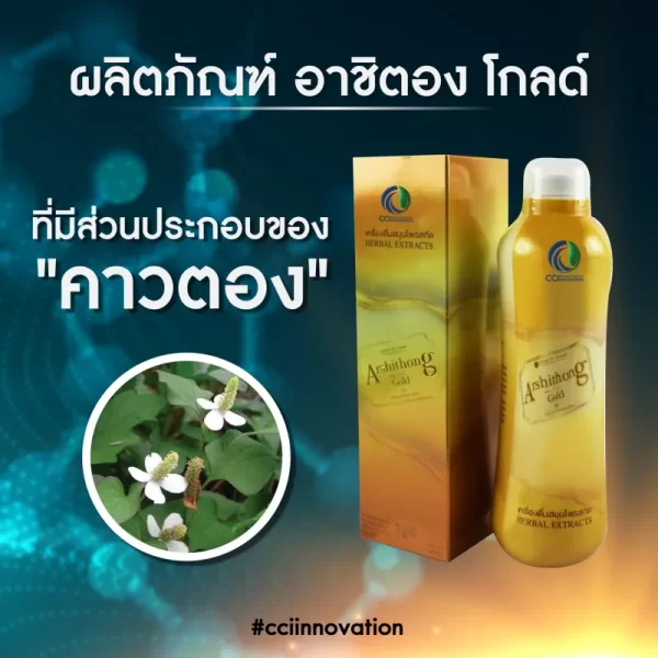 อาชิตองโกลด์ - Image 14