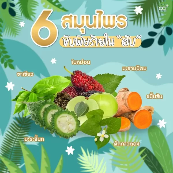 อาชิตองโกลด์ - Image 10