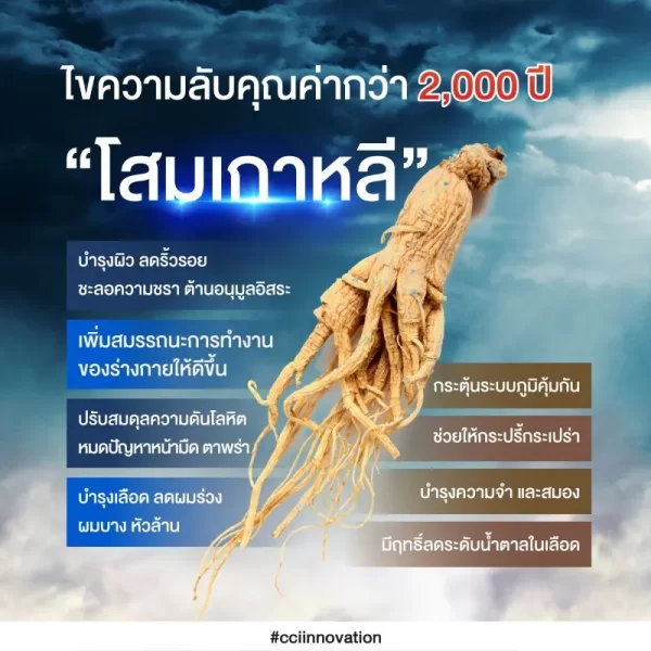 กรีน ปาปา - Image 3