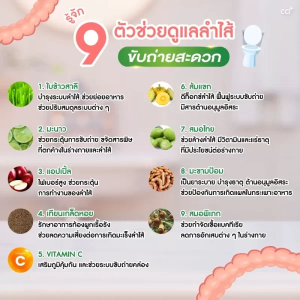 แฮปปี้ไคโช - Image 16