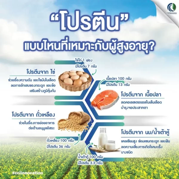 ไดเอทโปร พลัส - Image 5