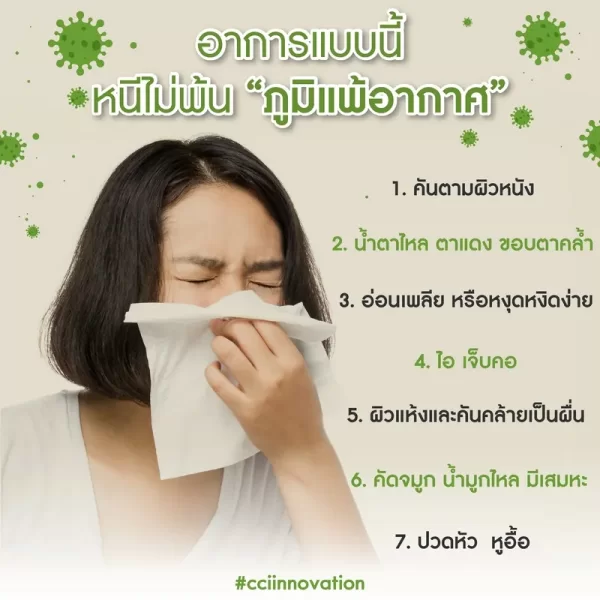 กรีนมูลอน - Image 9