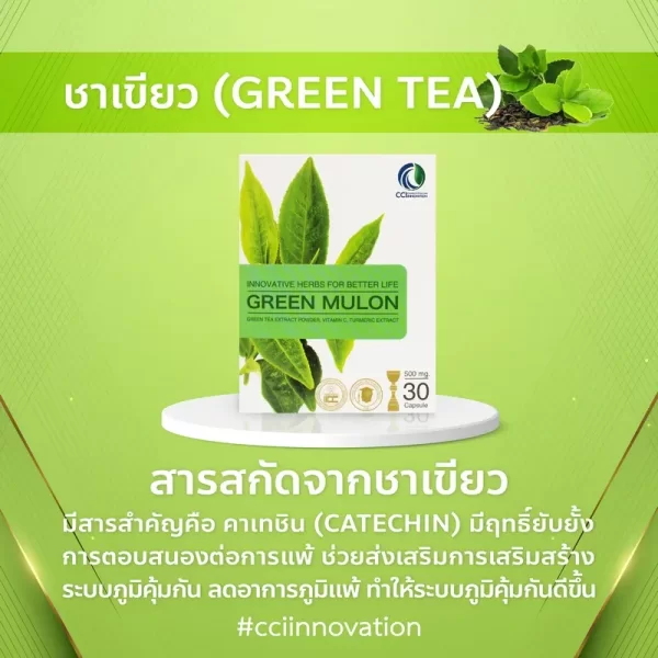 กรีนมูลอน - Image 8