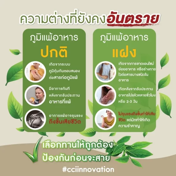 กรีนมูลอน - Image 11