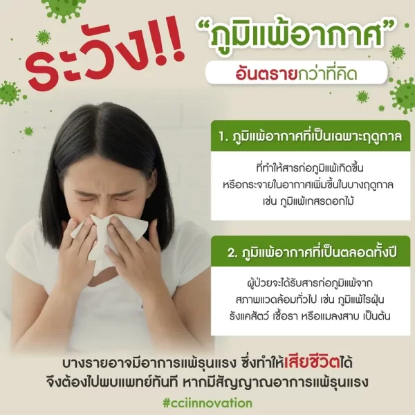 กรีนมูลอน - Image 14