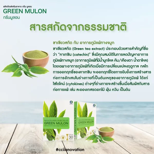 กรีนมูลอน - Image 3