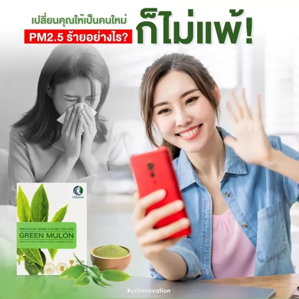กรีนมูลอน - Image 12