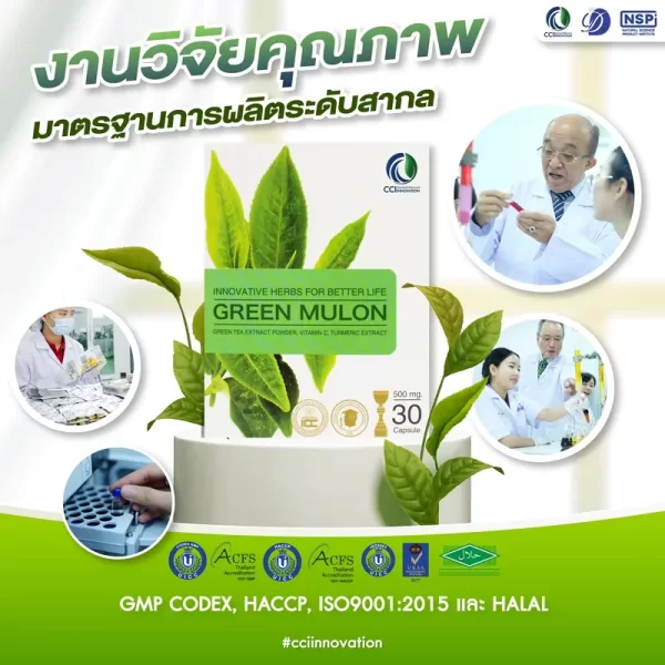 กรีนมูลอน - Image 7
