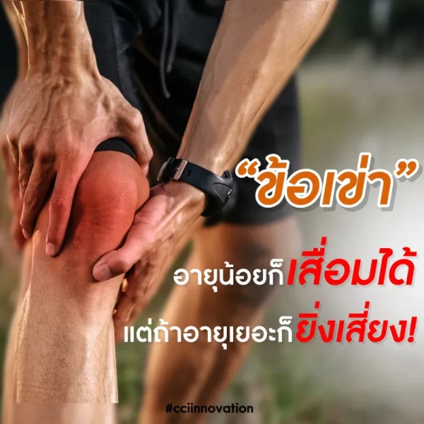 ไอโซเคอร์ม่า - Image 15
