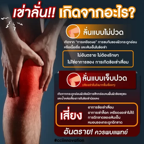 ไอโซเคอร์ม่า - Image 8