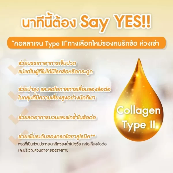ไอโซเคอร์ม่า คอลลาเจน - Image 11