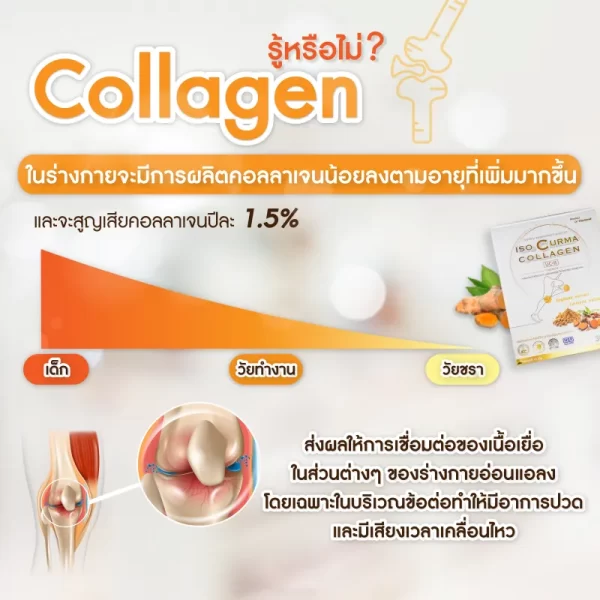 ไอโซเคอร์ม่า คอลลาเจน - Image 10