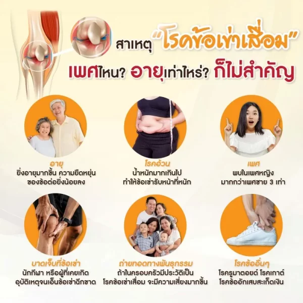 ไอโซเคอร์ม่า คอลลาเจน - Image 7
