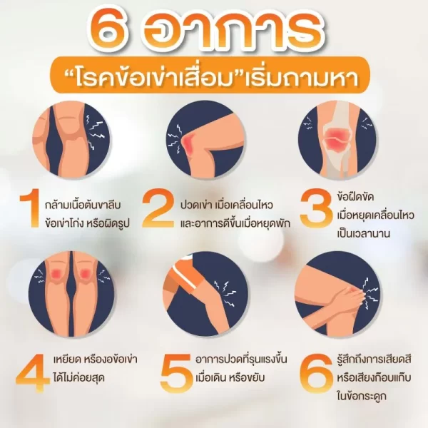 ไอโซเคอร์ม่า คอลลาเจน - Image 8