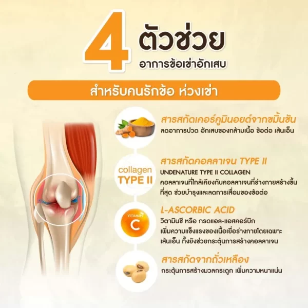ไอโซเคอร์ม่า คอลลาเจน - Image 14