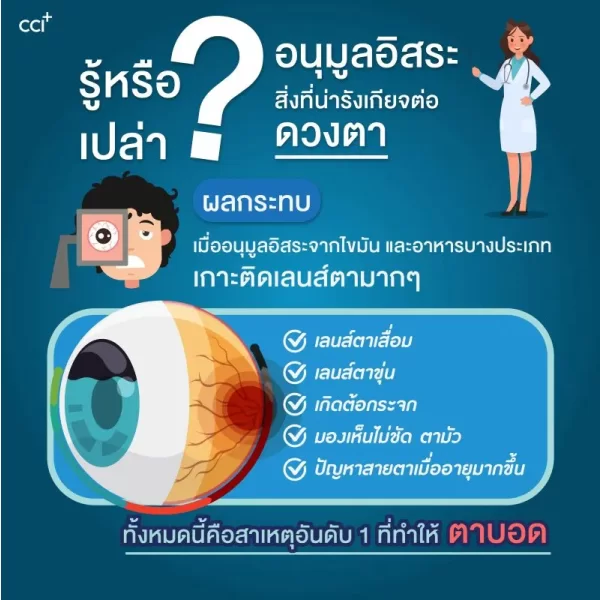มาคูน็อกซ์ - Image 15