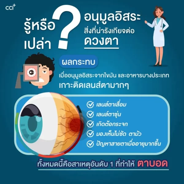 มาคูน็อกซ์ - Image 15