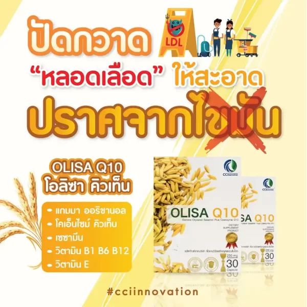 โอลิซา คิวเท็น - Image 6