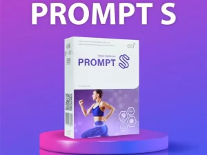 prompts