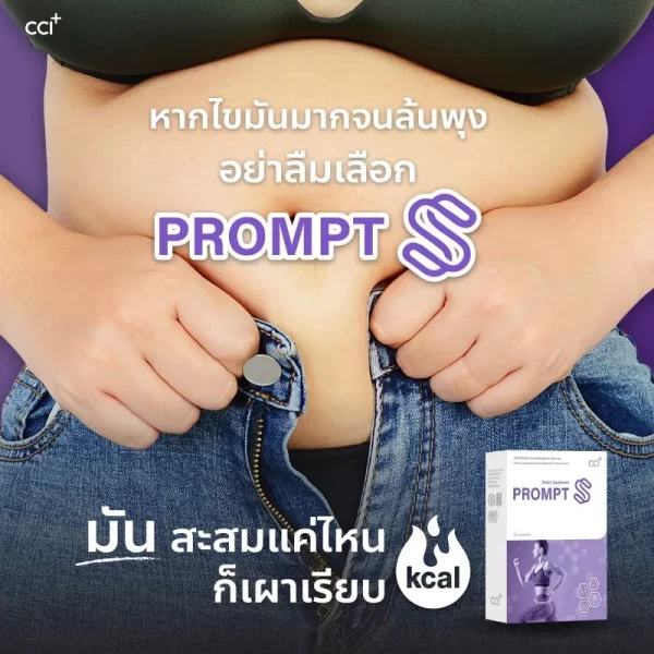 พร้อม เอส - Image 11