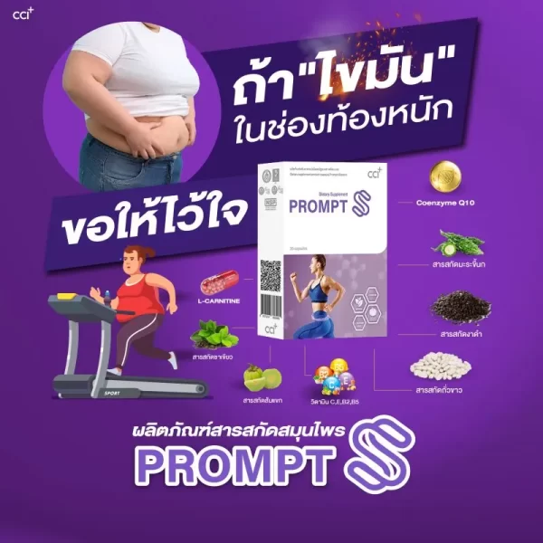prompts
