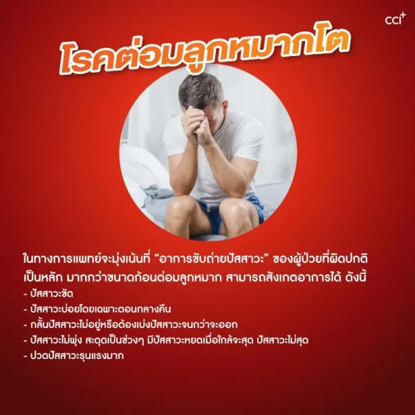 โทเมซิง พลัส 2 - Image 10