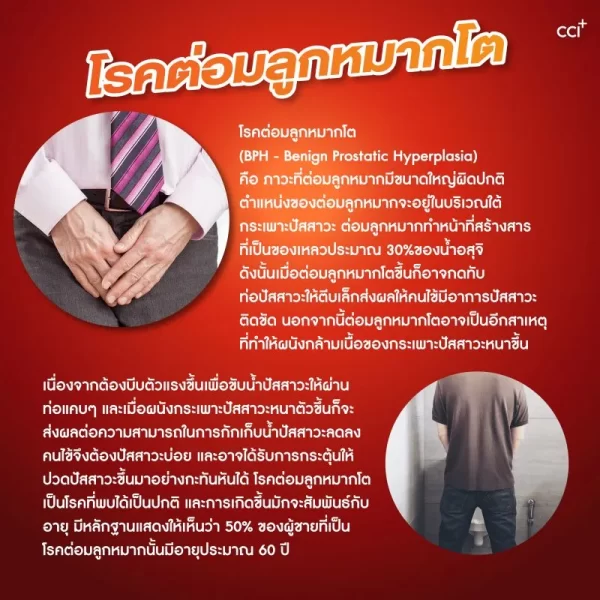 โทเมซิง พลัส 2 - Image 9