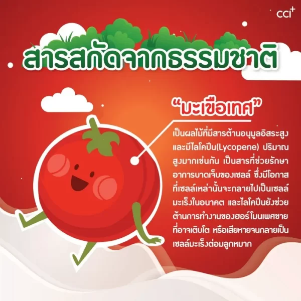โทเมซิง พลัส 2 - Image 8