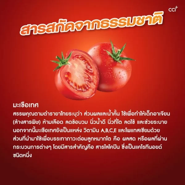 โทเมซิง พลัส 2 - Image 7