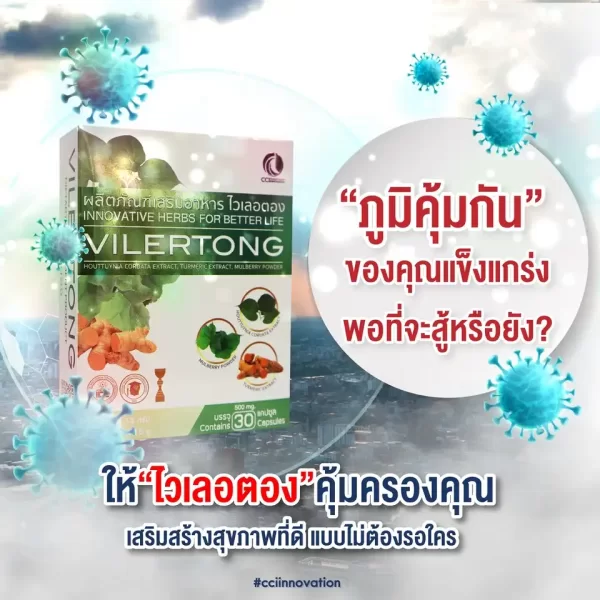 ไวเลอตอง - Image 7