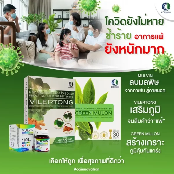 ไวเลอตอง - Image 6