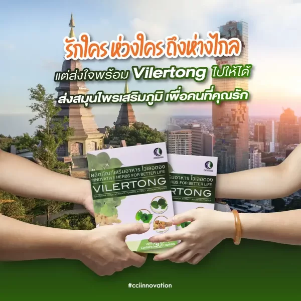 ไวเลอตอง - Image 2