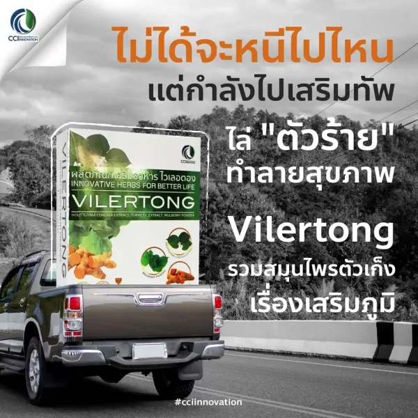 ไวเลอตอง - Image 14
