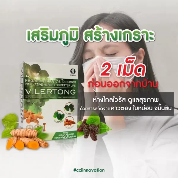 ไวเลอตอง - Image 8
