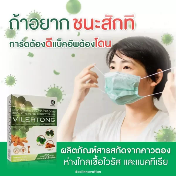 ไวเลอตอง - Image 12