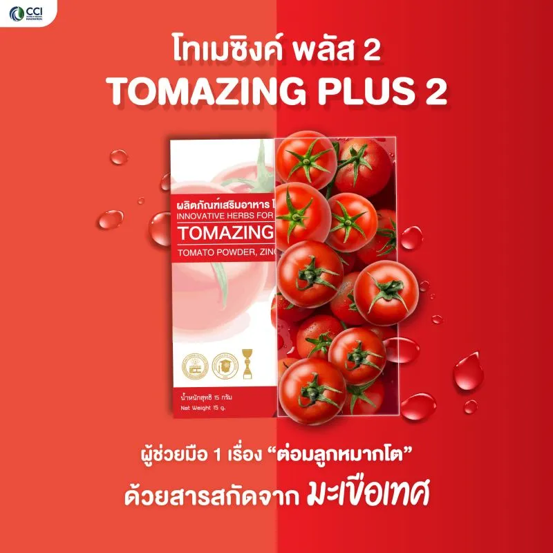 tomazing plus 2
