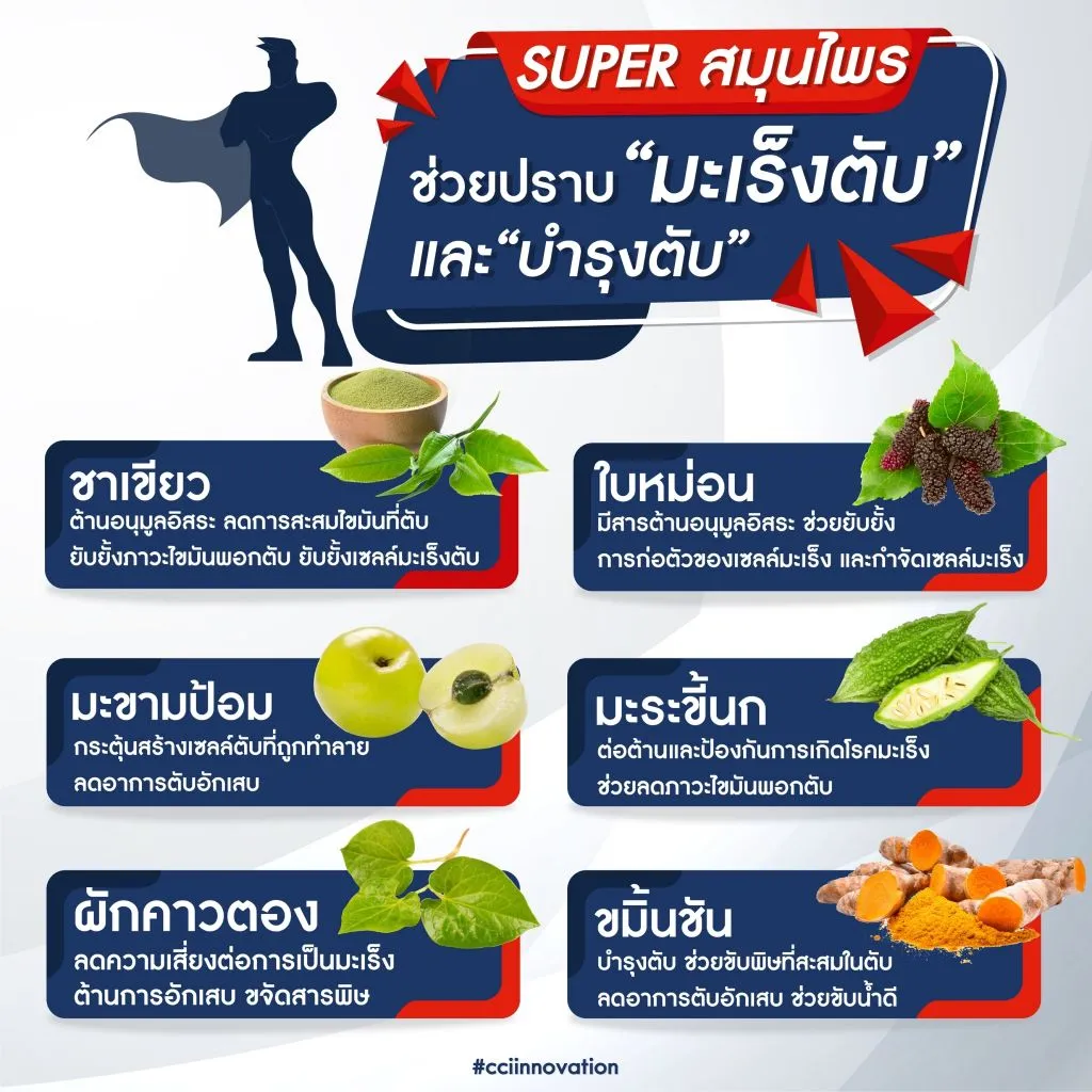 สถิติและอาการเตือนโรคมะเร็งตับในคนไทย พร้อมวิธีป้องกัน