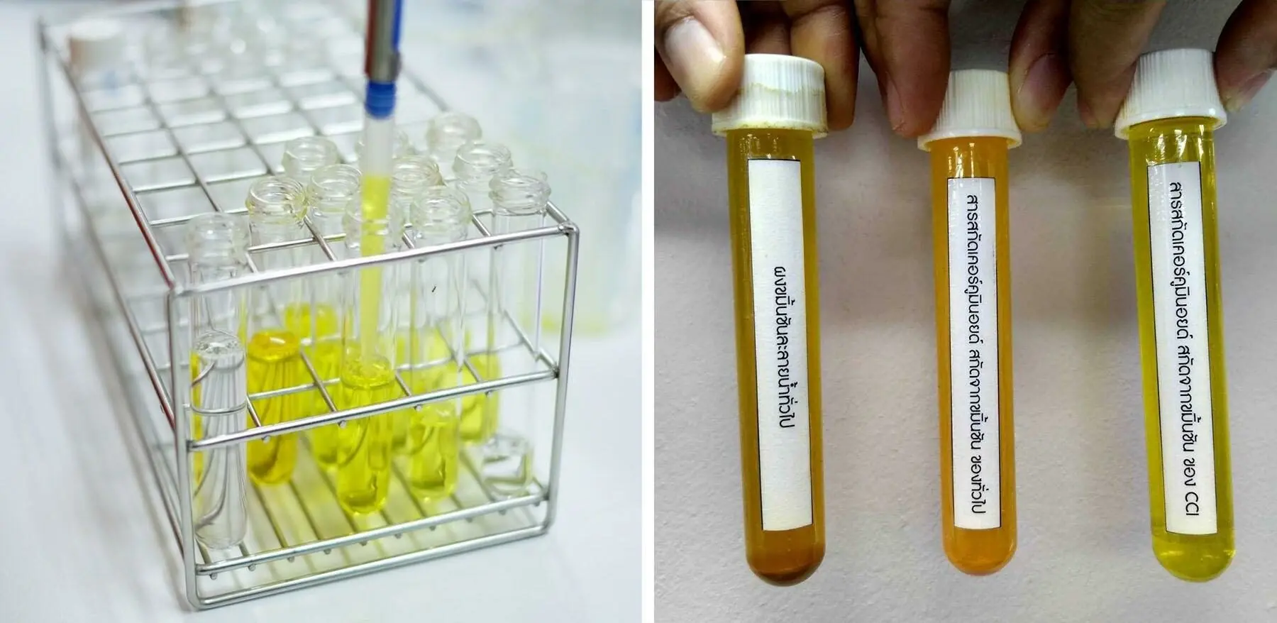ขมิ้นชันนาโน ดีกว่าอย่างไร?
