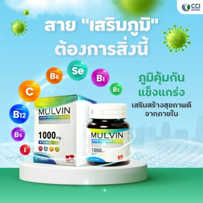 mulvin-multivitamin-b-complex-c-e-selenium-immune-support