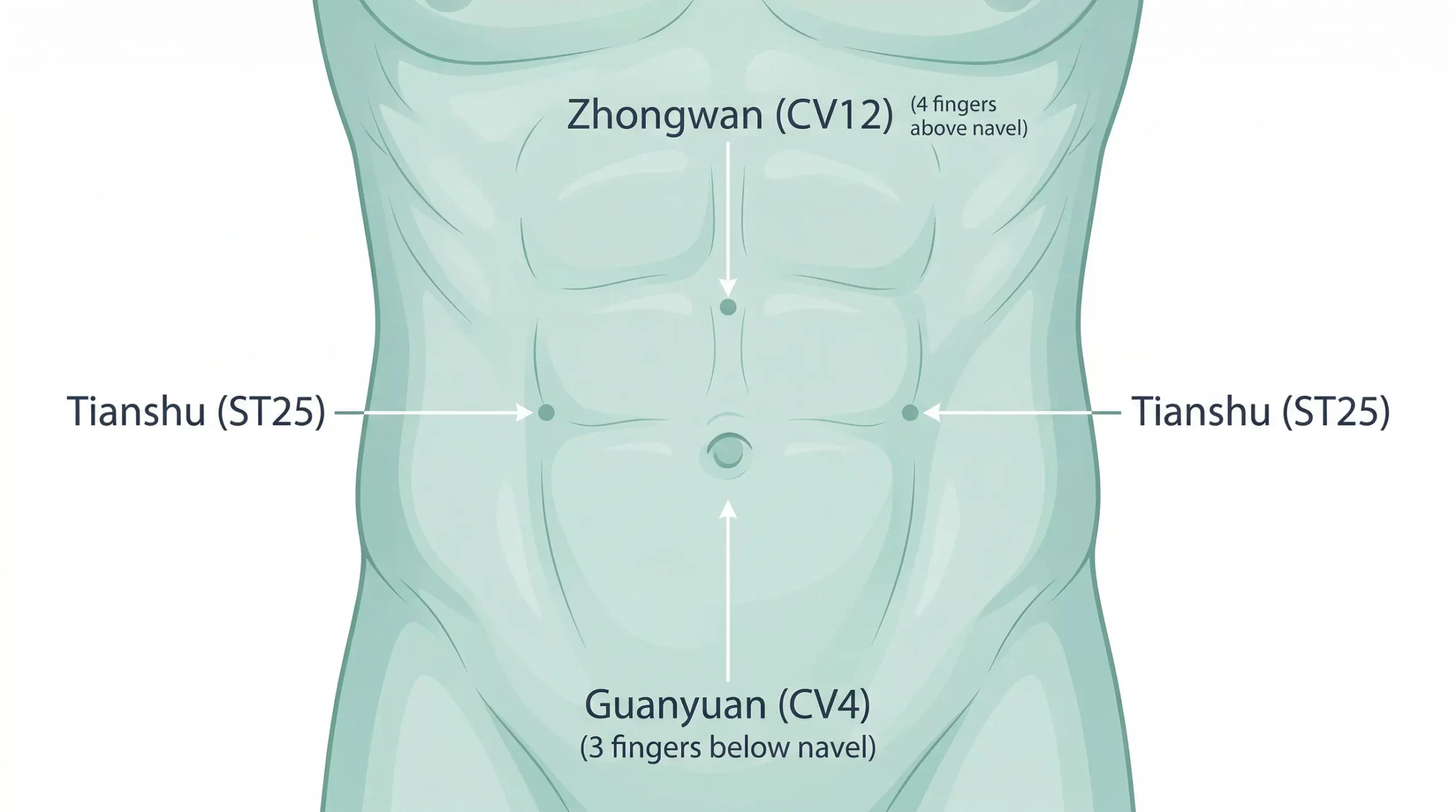 วิธีกดจุดแก้ท้องอืดและกรดไหลย้อนบริเวณหน้าท้อง จุดจงหว่าน จุดเทียนซู จุดกวนหยวน
