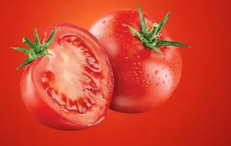 สารสกัดมะเขือเทศ Lycopene ดูแลต่อมลูกหมาก