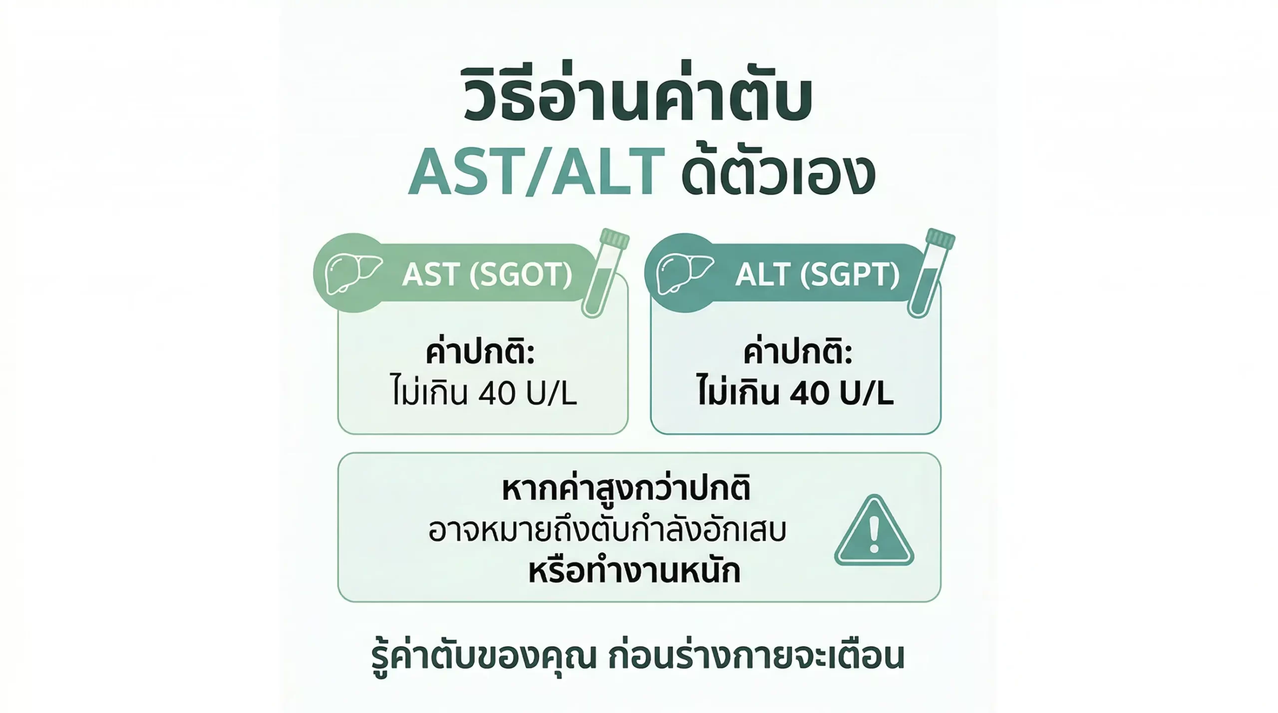 วิธีอ่านค่าตับ AST และ ALT จากผลตรวจเลือด พร้อมระบุค่าปกติไม่เกิน 40 U/L ในโทนสีเขียวสุขภาพ พื้นหลังเรียบสะอาด ไม่มีบุคคล