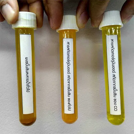 ภาพเปรียบเทียบการละลายน้ำของสารสกัดขมิ้นชันทั่วไปกับสารสกัดเคอร์คูมินอยด์ของ CCI ที่ละลายน้ำได้ดีกว่าและมีความใสชัดเจน