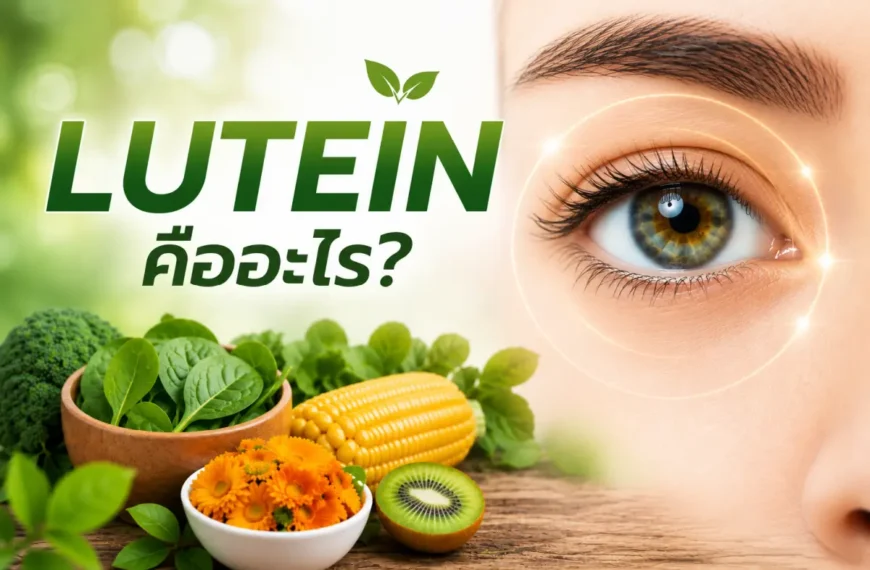 เพิ่มรูป + Alt text: lutein คืออะไร สรรพคุณต่อจอประสาทตาและดวงตา