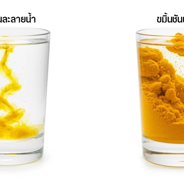 การเปรียบเทียบขมิ้นชันละลายน้ำกับขมิ้นชันผงทั่วไปเมื่อผสมในน้ำ