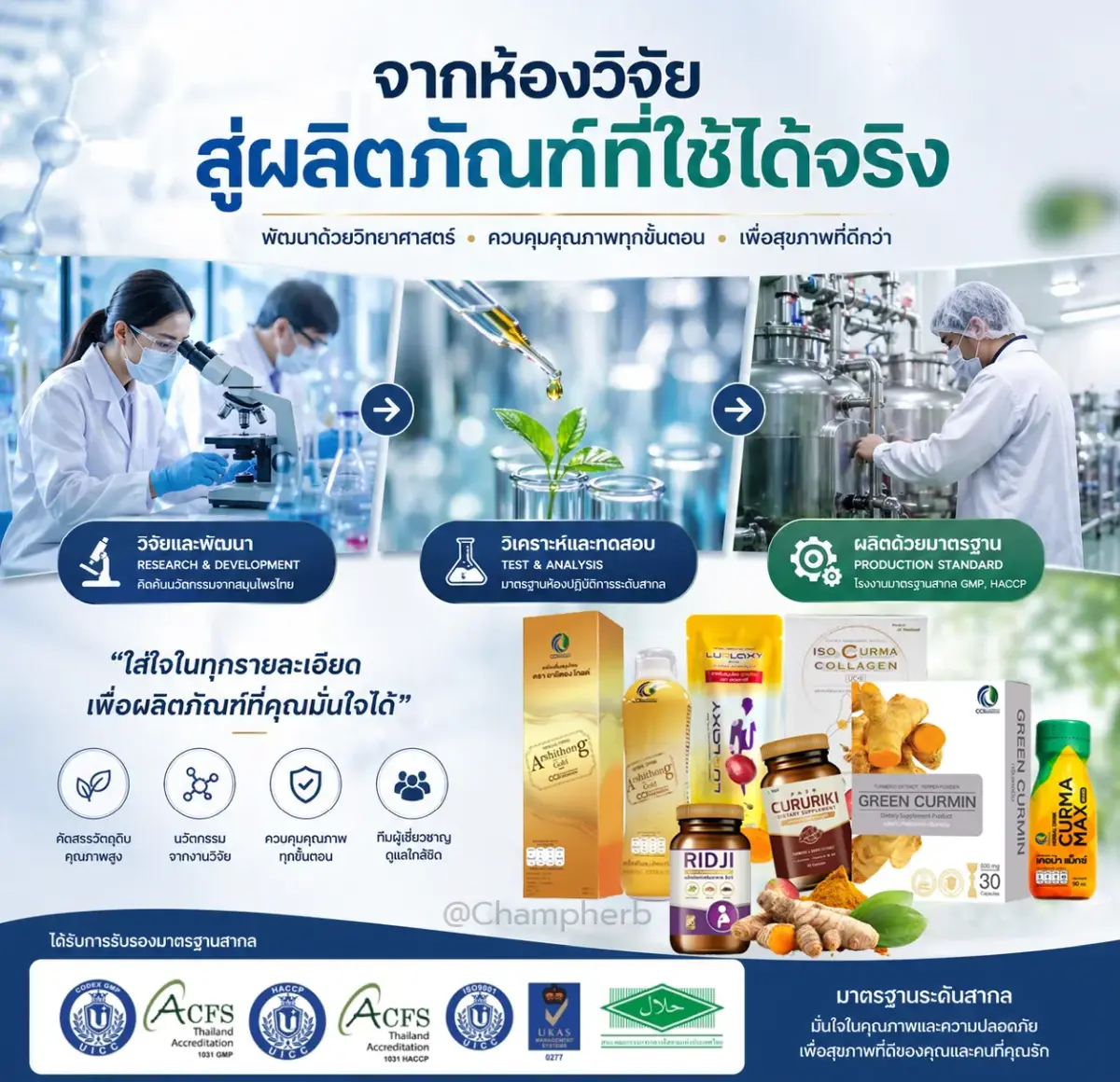 กระบวนการวิจัยสมุนไพรไทย CCI Innovation จากห้องแล็บสู่ผลิตภัณฑ์ Green Curmin มาตรฐาน GMP ISO HALAL