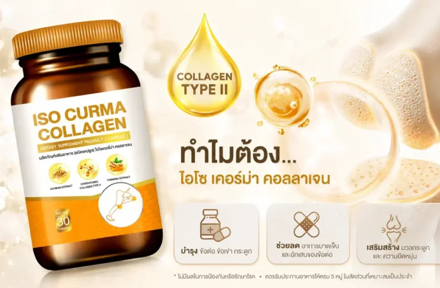 คอลลาเจน Type II คอลลาเจนข้อเข่า