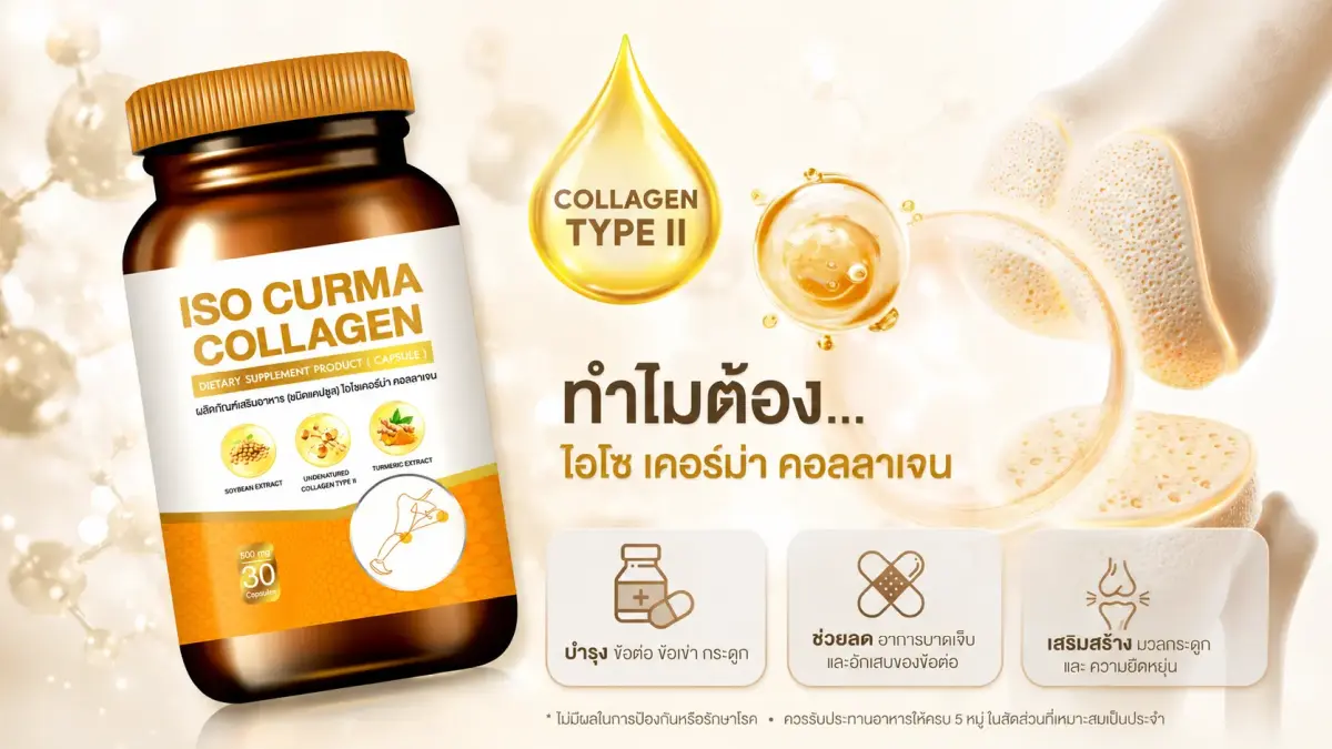 คอลลาเจน Type II คอลลาเจนข้อเข่า